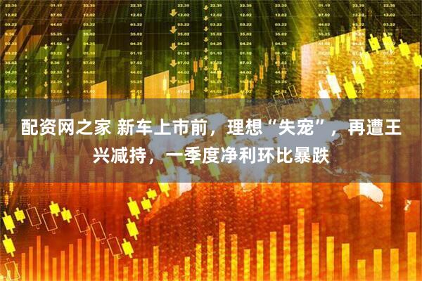 配资网之家 新车上市前，理想“失宠”，再遭王兴减持，一季度净利环比暴跌