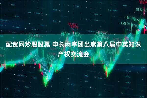 配资网炒股股票 申长雨率团出席第八届中英知识产权交流会