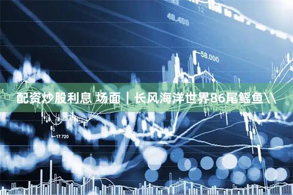 配资炒股利息 场面｜长风海洋世界86尾鳐鱼\